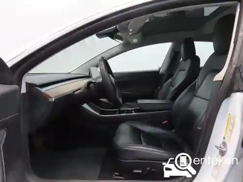 Tesla Model 3 Standard Range Plus 2020