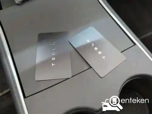 Tesla Model 3 Standard Range Plus 2020