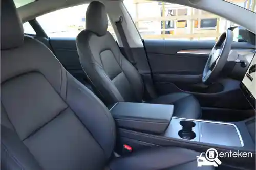 Tesla Model 3 Standard Range Plus 2021