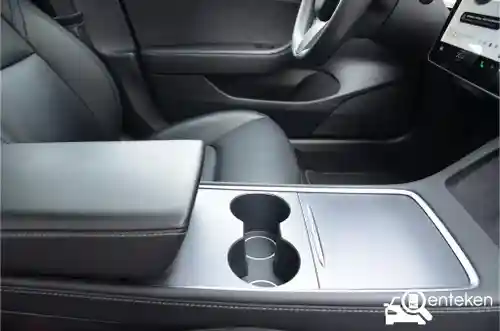 Tesla Model 3 Standard Range Plus 2021
