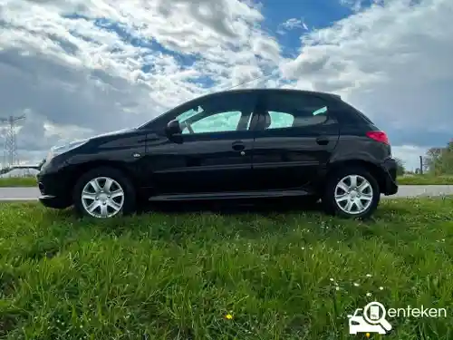 Peugeot 206 75 2009