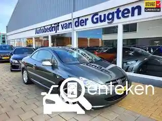 Peugeot 307 CC 135 2005