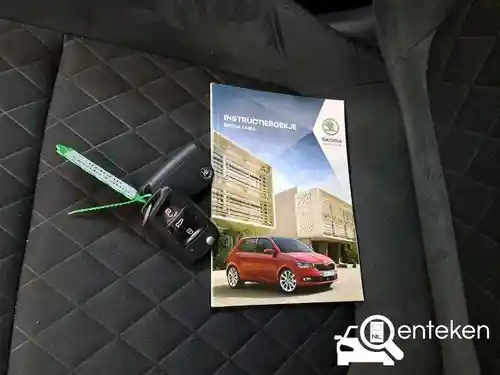 Skoda Fabia 1.0 TSI 2020