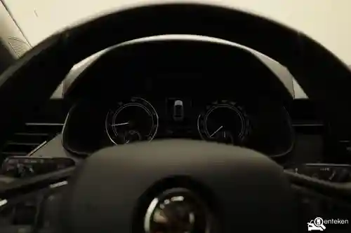 Skoda Kamiq 1.0 TSI 2020