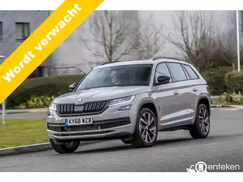 Skoda Kodiaq 1.5 TSI ACT 2020