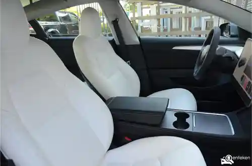 Tesla Model 3 Performance 2021