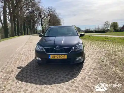 Skoda Fabia 1.2 TSI 2016