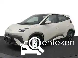 Byd Byd Dolphin Surf 2025