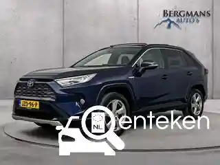Toyota RAV4 2.5 Hybrid 2019