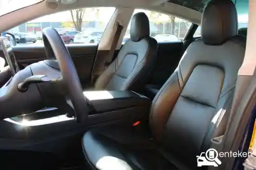 Tesla Model 3 Standard Range Plus 2020
