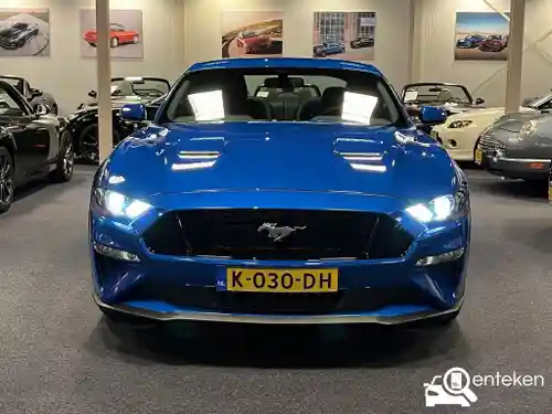 Ford Mustang Fastback 5.0 Ti-VCT V8 2020