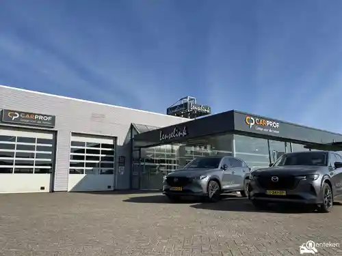 Peugeot 208 1.2 PureTech 100 2021