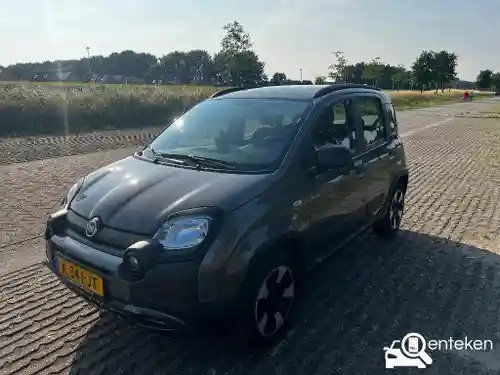 Fiat Panda Cross 1.0 GSE Hybrid 2021