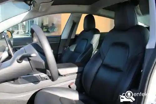 Tesla Model 3 Standard Range Plus 2021