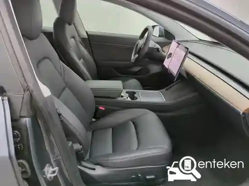 Tesla Model 3 Standard Range Plus 2021