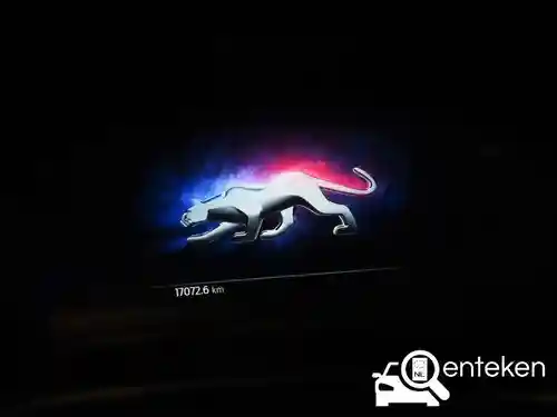 Ford Puma 1.0 EcoBoost Hybrid 2021