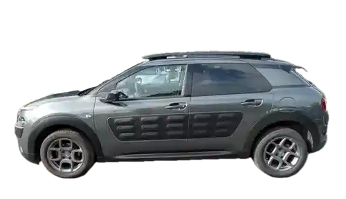 Citroen C4 Cactus PureTech 110 2016