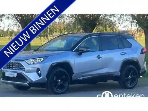 Toyota RAV4 2.5 Hybrid 2021