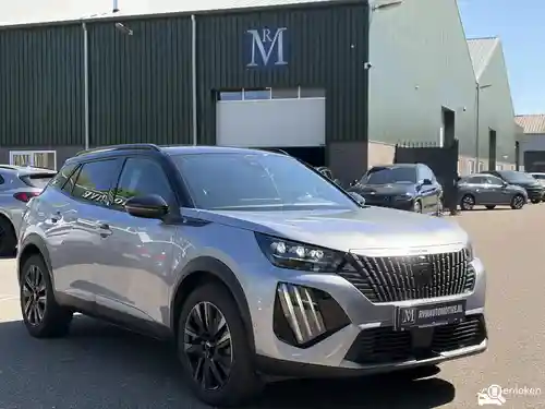 Peugeot 2008 156 2025