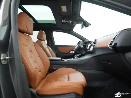DS Automobiles DS 7 Crossback E-Tense 300 2021