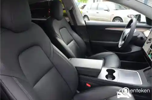 Tesla Model 3 Standard Range Plus 2021