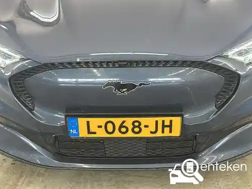 Ford Mustang Mach-E Standard Range 2021