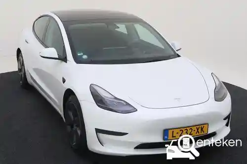 Tesla Model 3 Standard Range Plus 2021