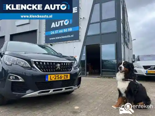Peugeot 3008 1.2 PureTech 130 2017