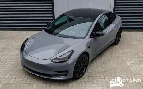 Tesla Model 3 Standard Range Plus 2019