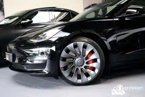 Tesla Model 3 Performance 2021