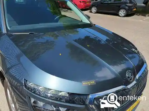Skoda Kamiq 1.0 TSI 2021