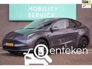 Tesla Model Y Maximum Range 2021