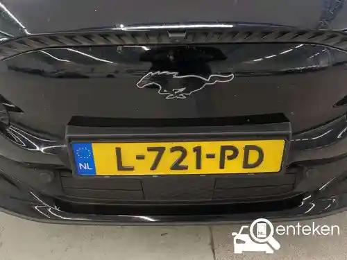 Ford Mustang Mach-E Standard Range 2021