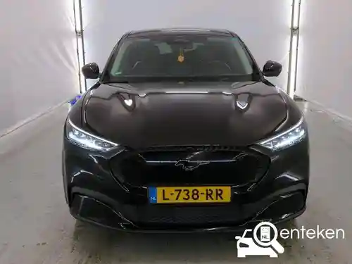 Ford Mustang Mach-E Standard Range 2021
