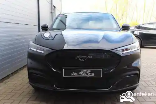 Ford Mustang Mach-E Standard Range 2021