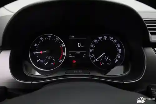Skoda Fabia 1.0 TSI 2018