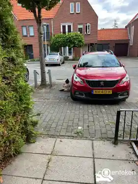 Peugeot 2008 1.2 PureTech 110 2017