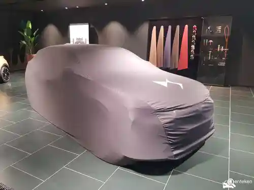 DS Automobiles DS 4 E-Tense 225 2022