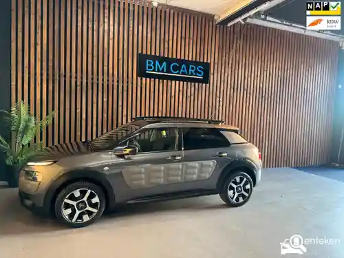 Citroen C4 Cactus PureTech 110 2017