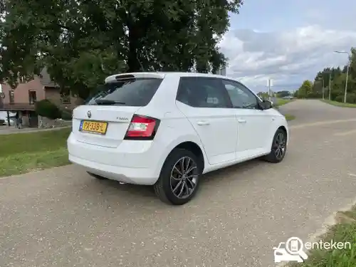 Skoda Fabia 1.0 TSI 2017