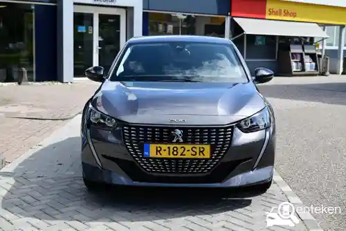 Peugeot 208 1.2 PureTech 100 2022