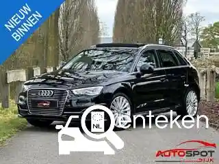 Audi A3 Sportback e-tron 2014