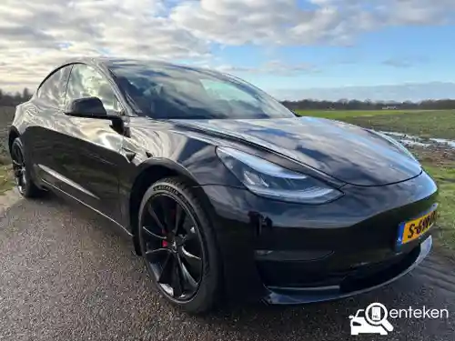 Tesla Model 3 Standard Range Plus 2019
