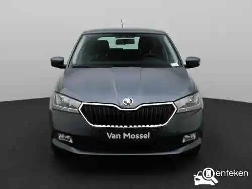 Skoda Fabia 1.0 TSI 2018