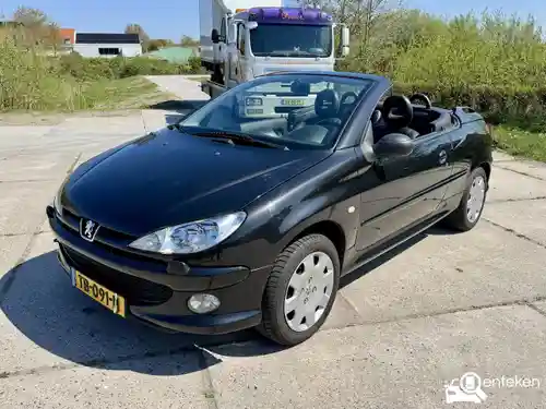 Peugeot 206 CC 110 2004