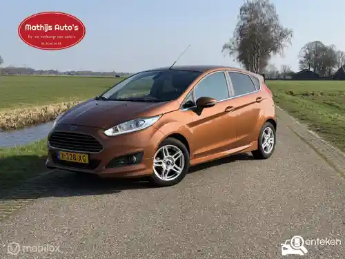 Ford Fiesta 1.0 EcoBoost 2013