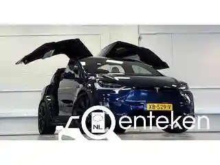 Tesla Model X 100D 2018