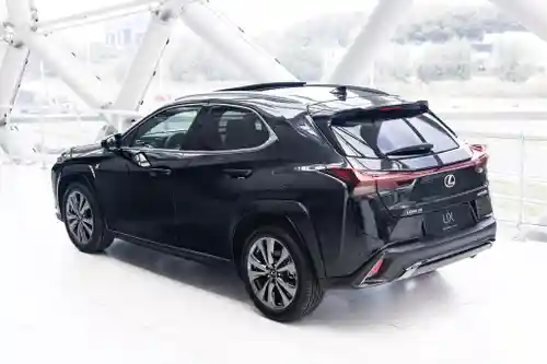 Lexus UX 250h 2024