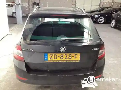 Skoda Fabia 1.0 TSI 2019