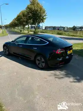 Tesla Model 3 Standard Range Plus 2019